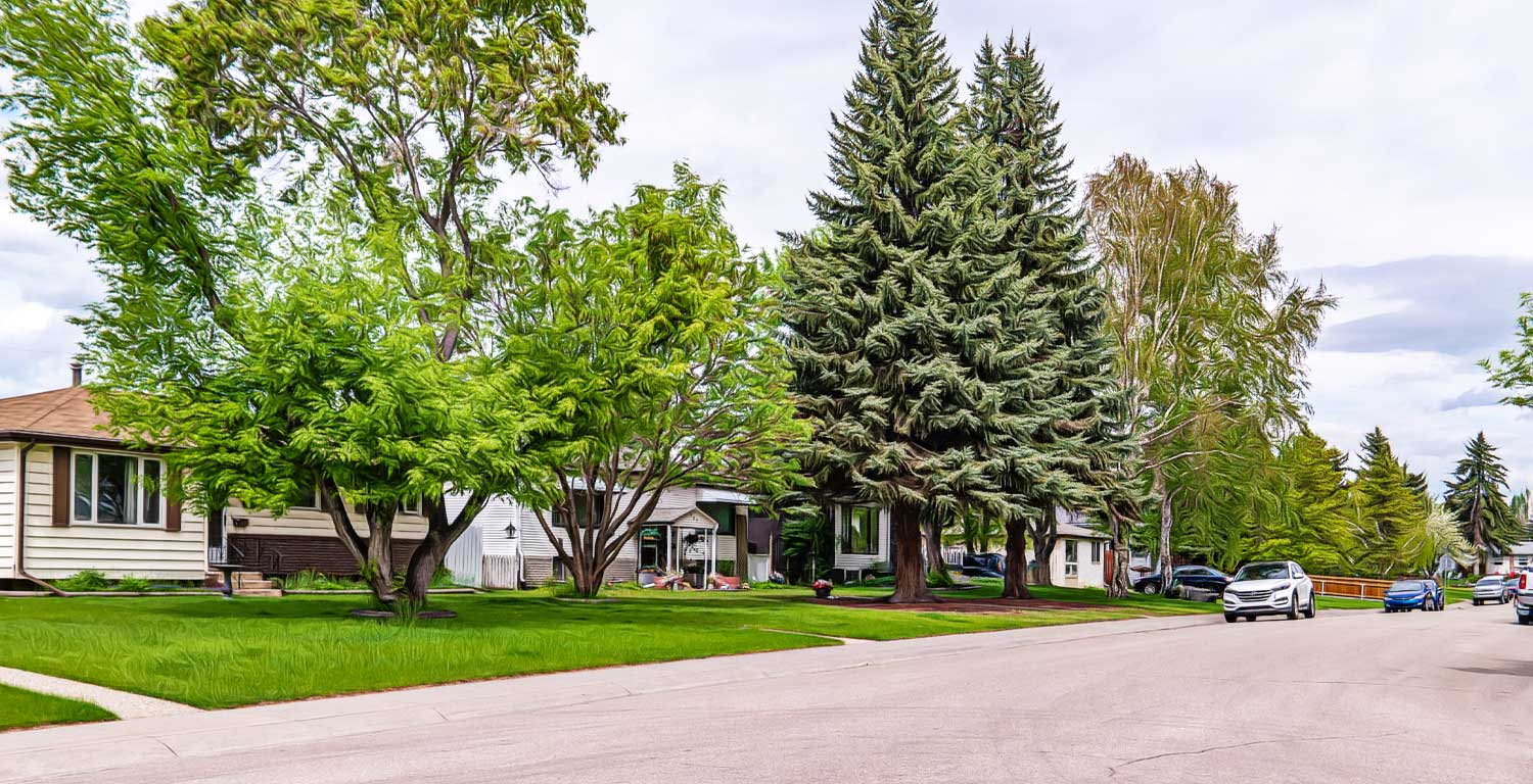 forest-lawn-Calgary-neighbourhood-guide Calgary Real Estate Team Hripko