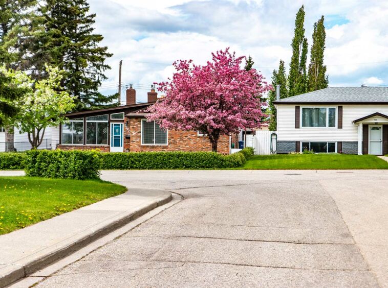 east-calgary-real-estate-for-sale-team-hripko